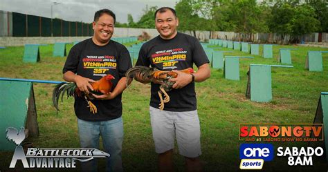 Sabong, cockfighting, gamefowl, gamefarm in the .